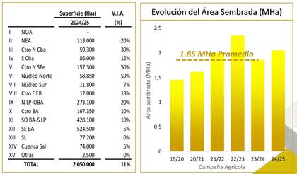 Evolución del área sembrada en millones de hectáreas