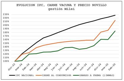 Evolución del Ipcva, el precio de la carne y el novillo