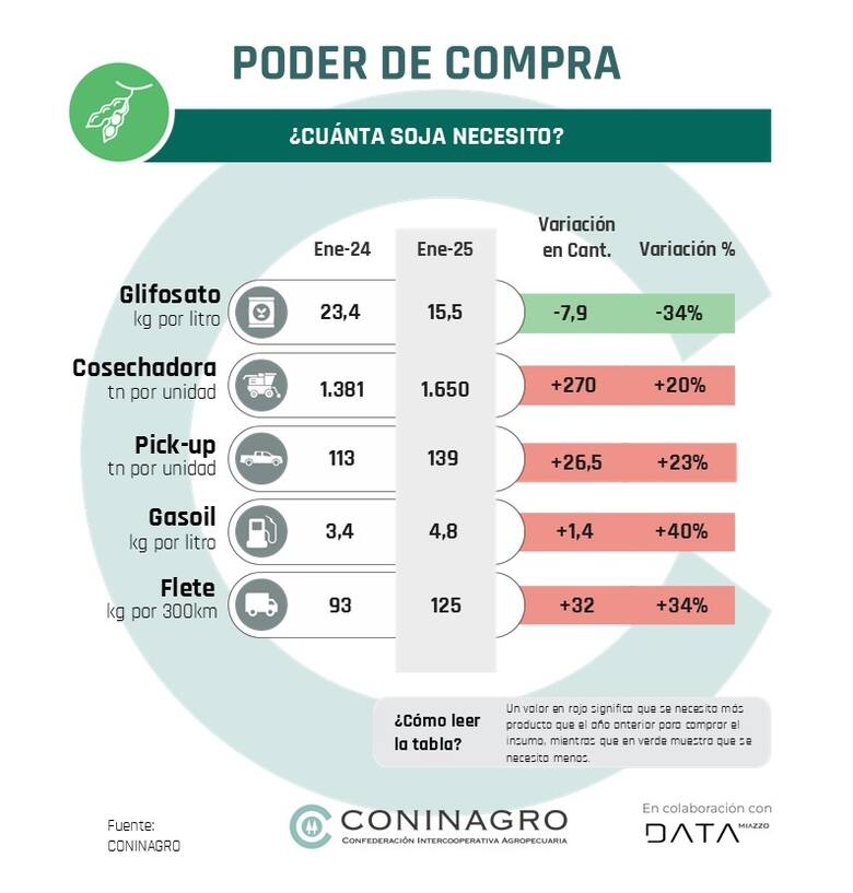 Informe