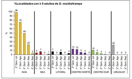 Evolución del porcentaje de localidades para cada región con cantidades ≥ 5 adultos de Dalbulus
maidis/trampas
de Monitoreo de la chicharrita del maíz (Dalbulus maidis)