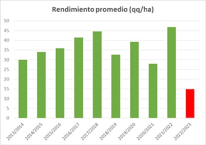 Evolución del rinde de trigo y previsión para esta campaña