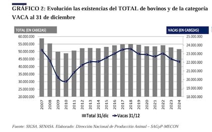Evolución del stock bovino en el país