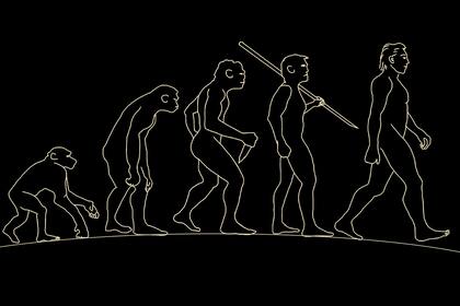 Evolución humana (Foto: Pixabay)
