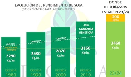 Evolución meteórica del rendimiento: el gráfico muestra la ganancia de rendimiento de la soja lo largo de las décadas desde 1980, como consecuencia del mejoramiento de la genética y del manejo del cultivo