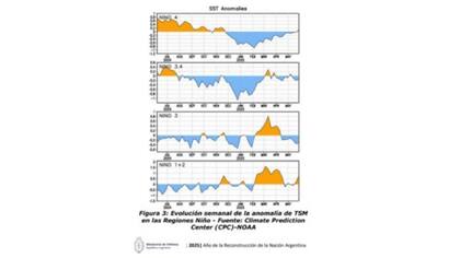 Evolución semanal de la anomalía de TSM
en las regiones Niño