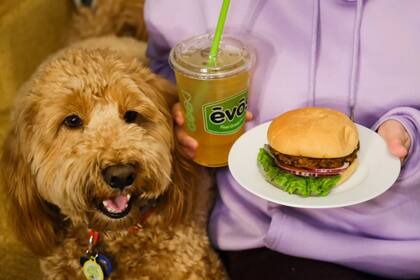 EVOS cerró sus últimas tres sucursales en Florida este mes