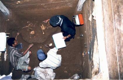 Excavación y hallazgo del nuevo espécimen