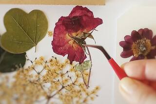 Las flores prensadas, un arte que conecta con la naturaleza y el mindfulness