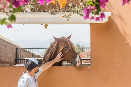 Exhibición de caballo de paso peruano en la Hacienda Los Ficus, Pachacámac.