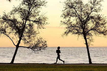 Existe evidencia de que el ejercicio regular puede reducir nuestros niveles basales de cortisol, lo que ayuda a combatir el estrés