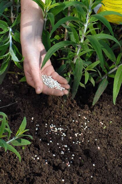 Existe una amplia variedad de fertilizantes, algunos de ellos con una gran cantidad de nutrientes en su composición