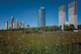 ¿Cómo se establece cuántos necesita una ciudad?