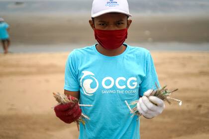 Existen algunas organizaciones que ayudan a limpiar los océanos mediante donaciones.