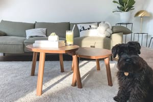 Existen algunos consejos prácticos para eliminar manchas de las alfombras