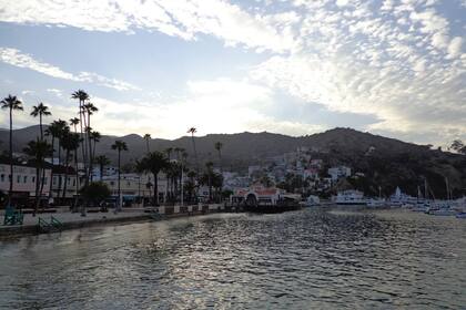 Existen casi las mismas probabilidades de que sea un invierno más húmedo o más seco de lo normal