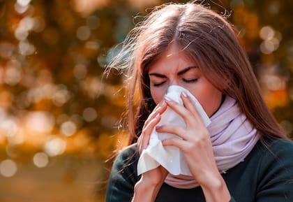 Existen casos de la gripe en distintas provincias argentinas