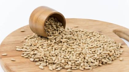 Existen ciertas personas intolerantes específicamente al alpiste, por lo que es recomendable que busque asesoría de un profesional de la salud
Foto: iStock