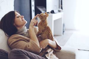 Los mejores tips para saber si tu gato te quiere