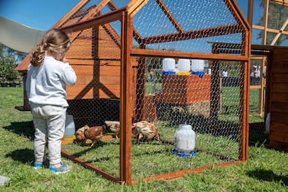 Existen diseños de gallineros que se adaptan a cada necesidad.