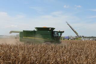 El agro y el mercado de capitales: instrumentos útiles para el sector