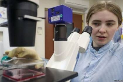 Existen otras 22 vacunas en ensayos clínicos.