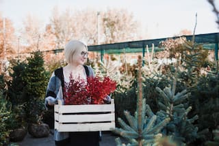 Las plantas de exterior ideales para decorar tu hogar en invierno sin que se mueran