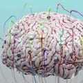 ¿Puede la estimulación tecnológica mejorar el funcionamiento de nuestro cerebro?