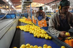 Crisis del limón: la silenciosa caída de una marca de la Argentina ante el mundo