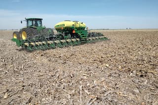 Frente a un escenario bajista para el maíz, la soja busca revancha para el 2026