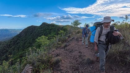 Expedición recorriendo un área de cresta montañosa en búsqueda de indicios de oso andino y otros carnívoros elusivos