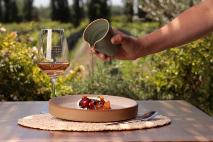 Experiencia gastronómica de Savia maridada con vinos de la bodega Casarena