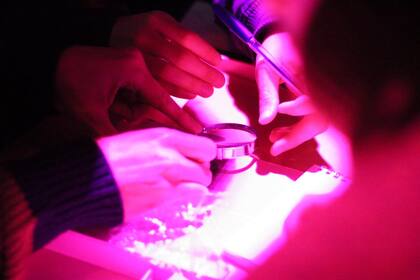 Experiencia misterio desafía a las mentes más brillantes de la lógica detecivesca