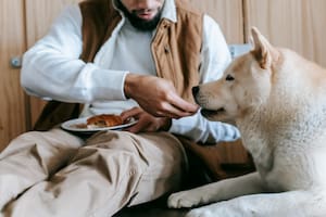 Un estudio reveló cuál es la clave para que tus mascotas vivan más años
