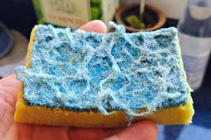 Chau esponja de cocina: la nueva tendencia para lavar los platos