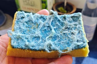 Chau esponja de cocina: la nueva tendencia para lavar los platos
