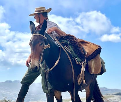 Expertos de distintos países abordan el rol en la producción, el transporte, la ciencia y la equinoterapia