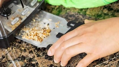 Expertos recomiendan que es esencial limpiar la bandeja y el exterior de la tostadora