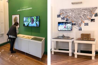 “Explorar el jardín bajo la lupa”. Acá se puede elegir algo y mirarlo bajo la lupa (funciona en horarios reducidos por el momento). También hay videos explicativos.