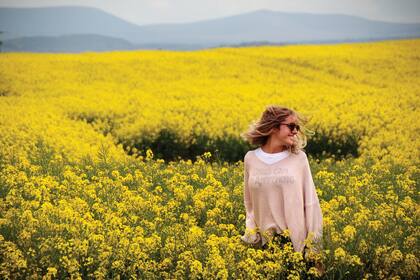 Explosión de colores camino a las Highlands, en los campos de colza.