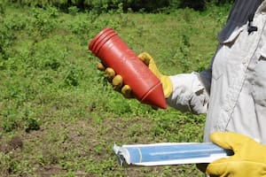 Campos minados en el norte, Maradona al momento de su muerte y la “herenciocracia”