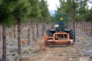 La cuarentena y el teletrabajo generaron una renovada demanda de madera