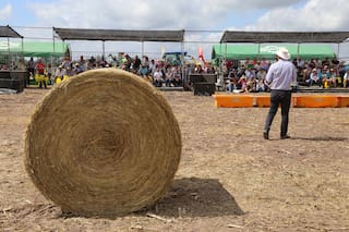 Expoagro en la Rural de Corrientes. Detalles de la muestra que empieza hoy