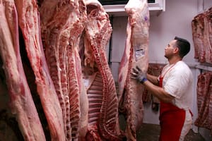 Carne: el campo evaluará si hace protestas por un registro para exportar