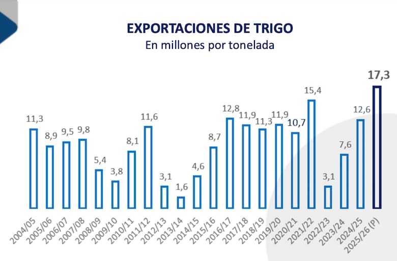El trigo impulsa la economía argentina con una cosecha histórica y más divisas
