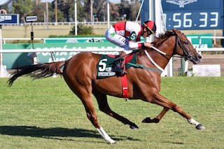 El caballo que sacó de perdedor a su dueño, se negaba a jubilarse y faltó a su propia despedida