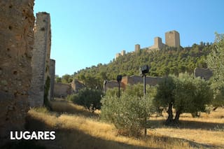 Secretos de la ciudad famosa por sus 66 millones de olivos