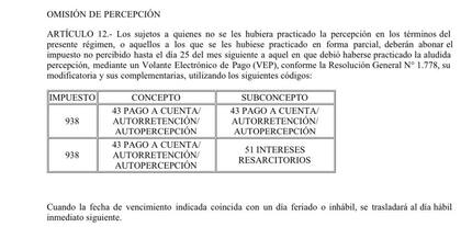 Extracto de la reglamentación de AFIP