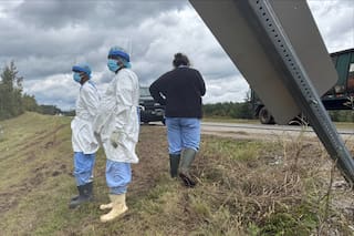 Extravío de monos tras accidente da vistazo a la industria secreta de la investigación con animales