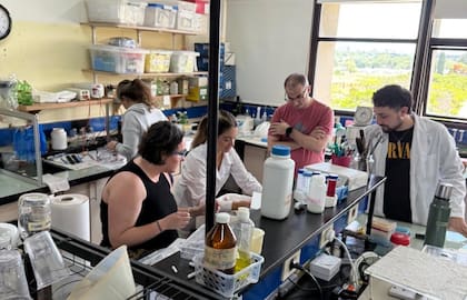 Eywa Biotech cerró una ronda semilla de US$2,5 millones liderada por Tim Draper