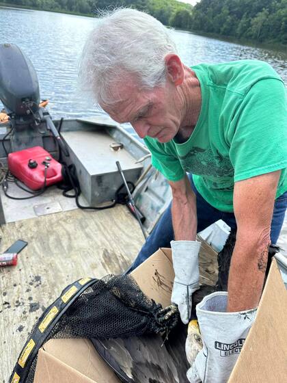 Facebook Annapolis Creative.